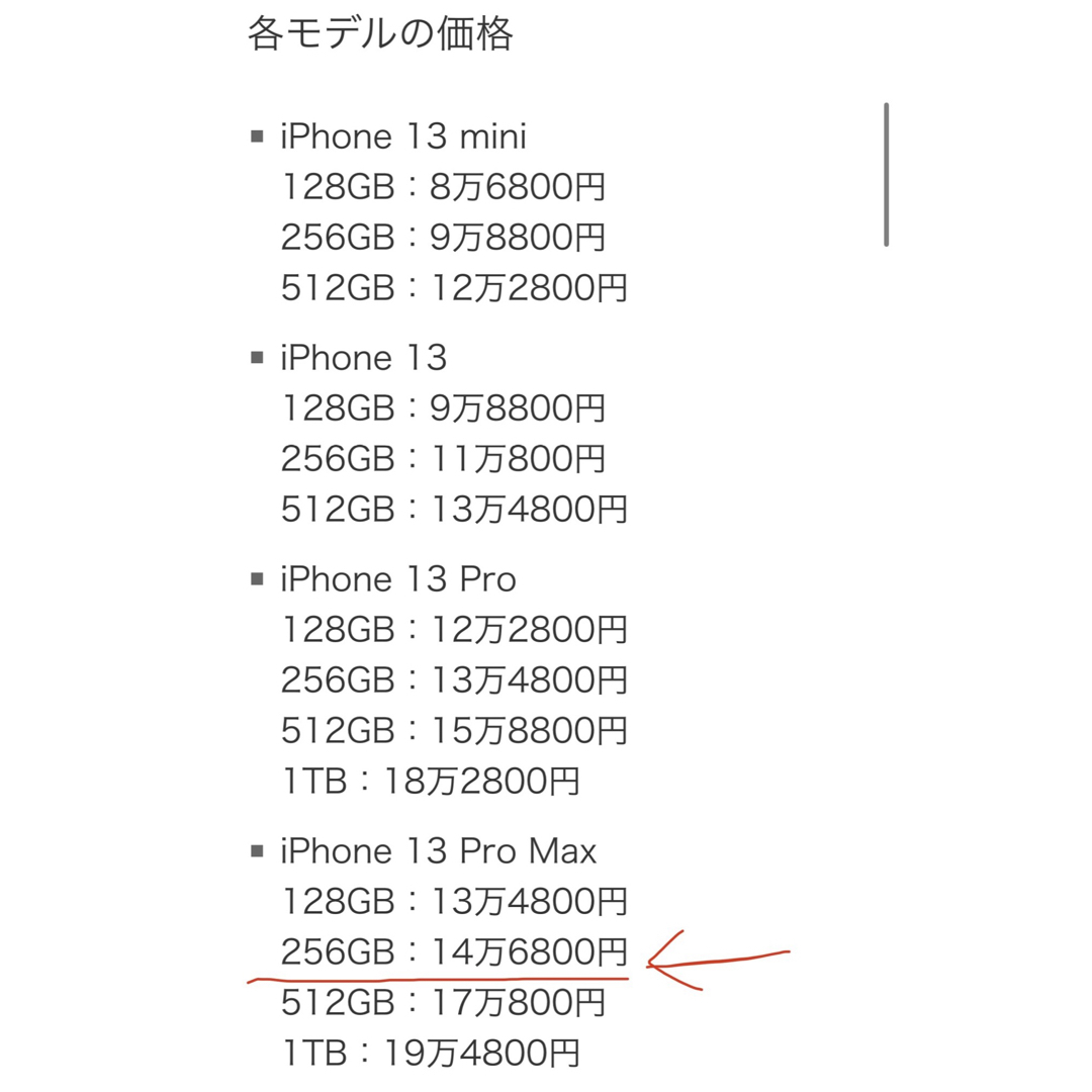 【未使用】iPhone13 pro max  256GBシエラブルー 本体 2