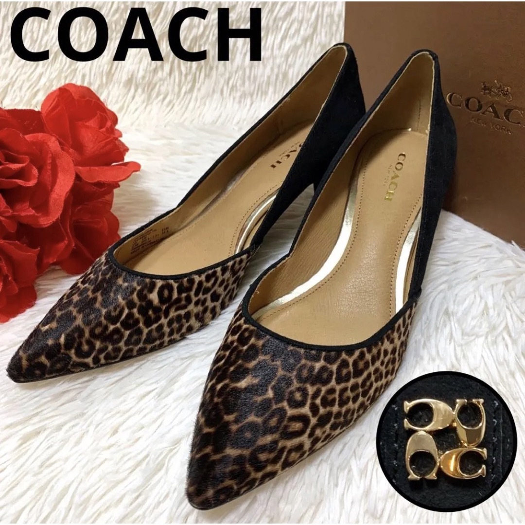 COACH - 【新品箱付】COACH パンプス ハラコ レオパード スエード