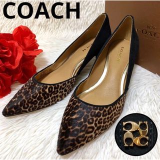 COACH - 【新品箱付】COACH パンプス ハラコ レオパード スエード ...