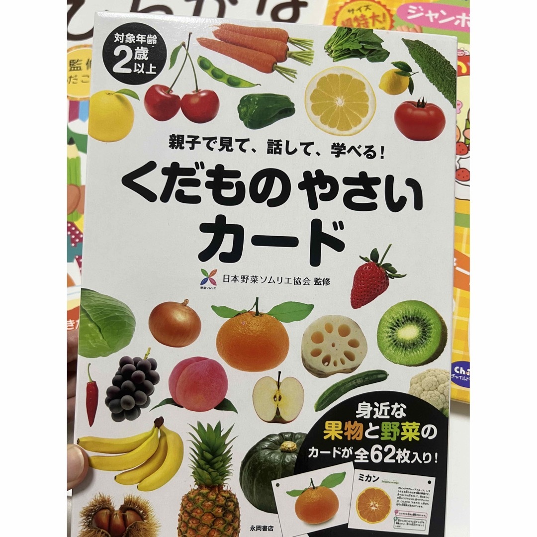 保育教材　　野菜カード　保育士 エンタメ/ホビーの本(人文/社会)の商品写真