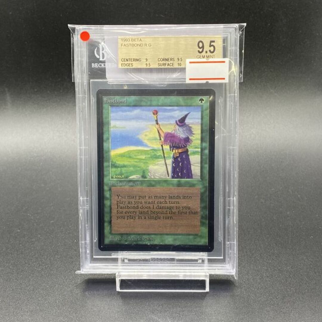 【BGS9.5】 Fastbond LEB