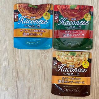 ソウミ(創味)の創味 ハコネーゼ パスタソース 3袋セット 3種のパスタソース🍝(レトルト食品)