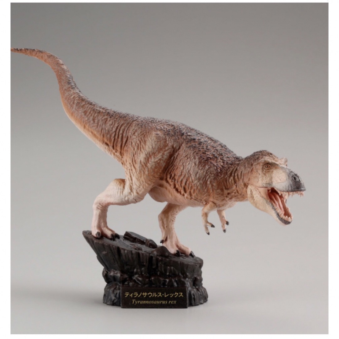 海洋堂 - 特別展 恐竜博 2023 カプセル フィギュア ティラノサウルス