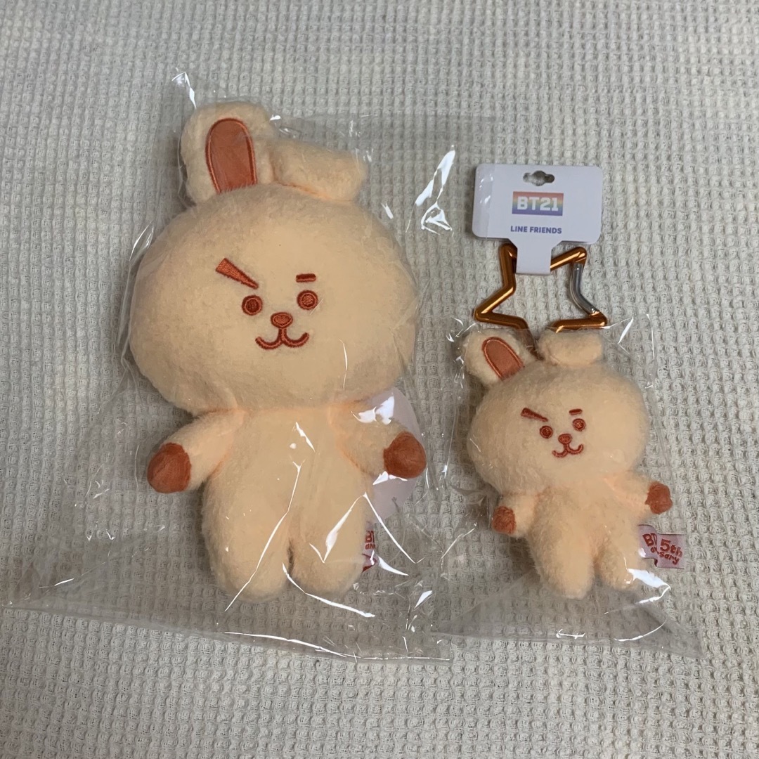 BT21(ビーティーイシビル)のBT21 5周年記念 レインボーカラーマスコット・ぬいぐるみ　COOKY 10点 エンタメ/ホビーのおもちゃ/ぬいぐるみ(キャラクターグッズ)の商品写真