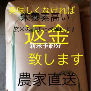 新米予約　9月15日発送開始　無農薬新米純こしひかり25㎏ 玄米(米/穀物)