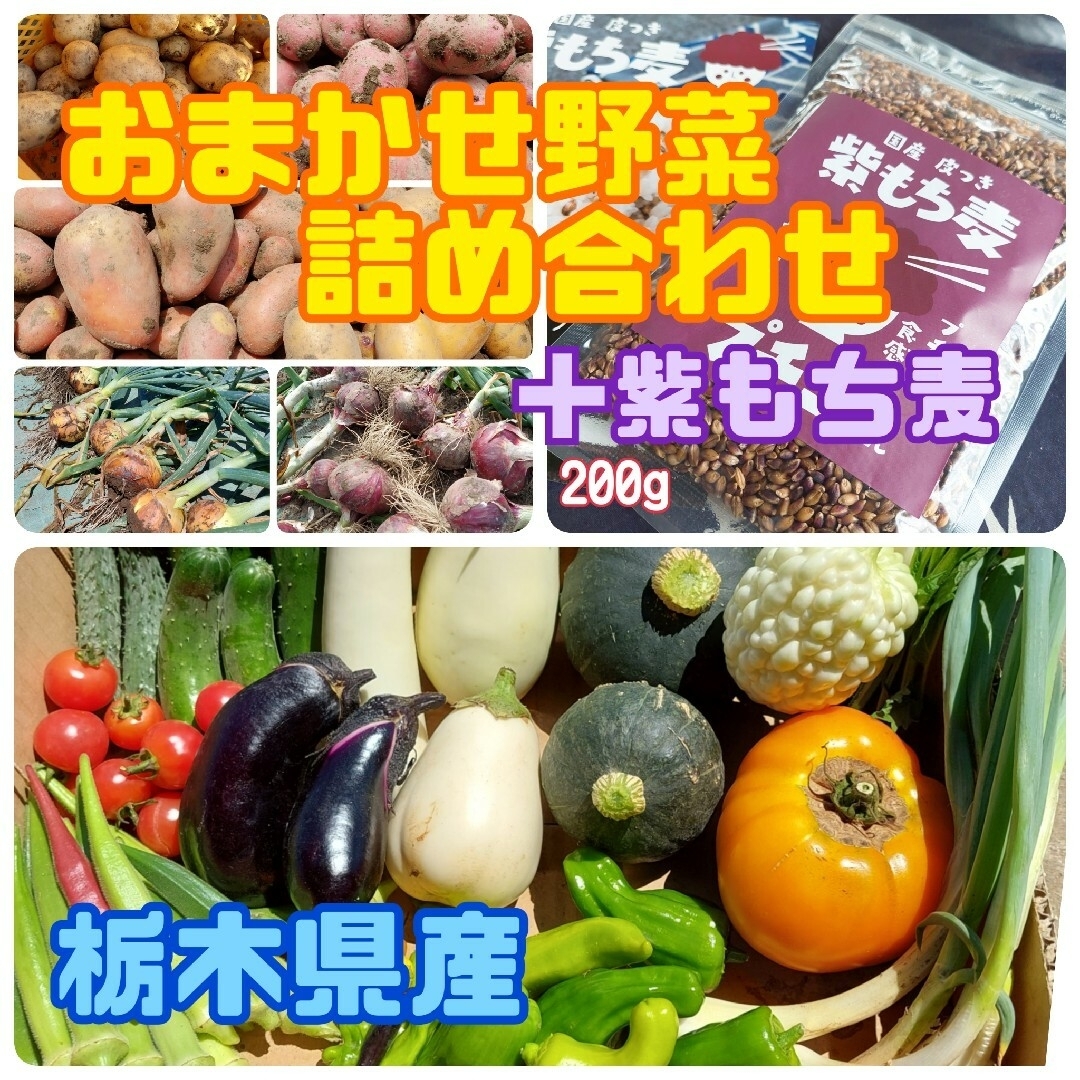 ‼️1箱限定‼️おまかせ野菜詰め合わせ＋紫もち麦200g【コンパクトBOX】 食品/飲料/酒の食品(野菜)の商品写真