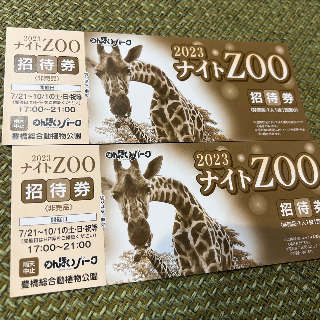 のんほいパーク2023ナイトZOO ペア券 チケットの施設利用券(動物園)の商品写真