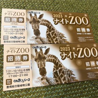 のんほいパーク2023ナイトZOO ペア券(動物園)