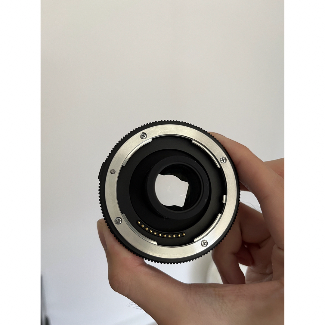 Nikon Z TELECONVERTER TC-2.0x