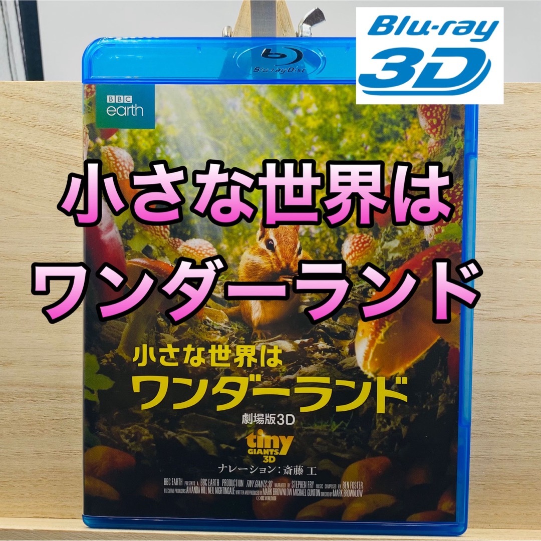 11900円 廃盤レア3DBlu-ray小さな世界はワンダーランド(´14英