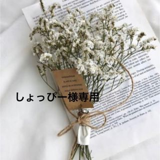 ムジルシリョウヒン(MUJI (無印良品))の無印ハンガー21本(押し入れ収納/ハンガー)