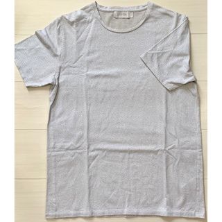 カルバンクライン(Calvin Klein)のCalvin Klein platinum Tシャツ　Lサイズ(Tシャツ/カットソー(半袖/袖なし))