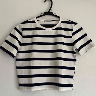 ザラ(ZARA)の新品　Zara クロップド ストレッチ Ｔシャツ M(Tシャツ(半袖/袖なし))