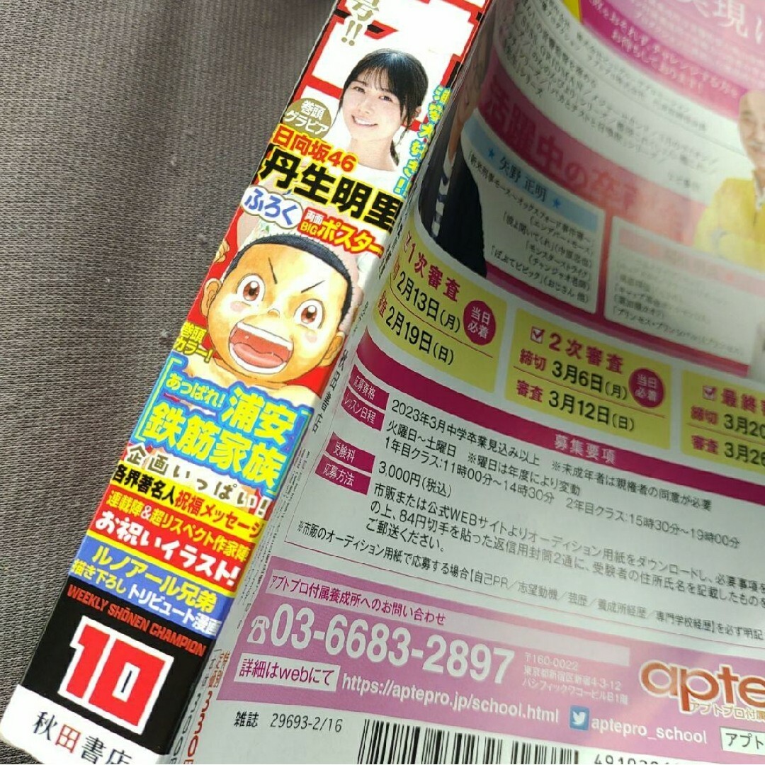 乃木坂46(ノギザカフォーティーシックス)の日向坂46  丹生明星   ポスター付き  週刊少年チャンピオン   応募券無 エンタメ/ホビーの本(アート/エンタメ)の商品写真