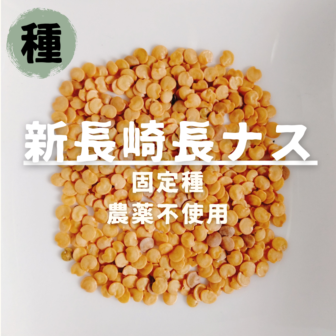 【種】ナス　新長崎長茄子　無農薬　50粒 食品/飲料/酒の食品(野菜)の商品写真