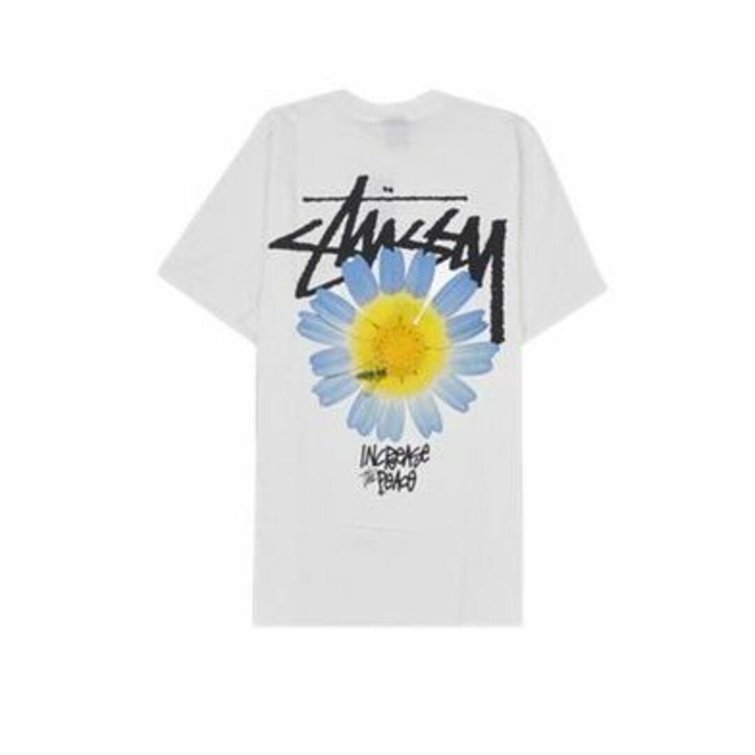 STISSY Tシャツ　ステューシー　半袖　ストリート　　メンズ　レディース