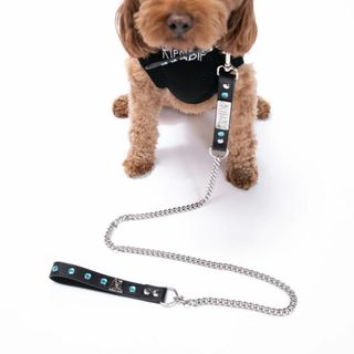 リップンディップ(RIPNDIP)のRIPNDIP LORD NERMAL STUDDED PET LEASH 新品(その他)