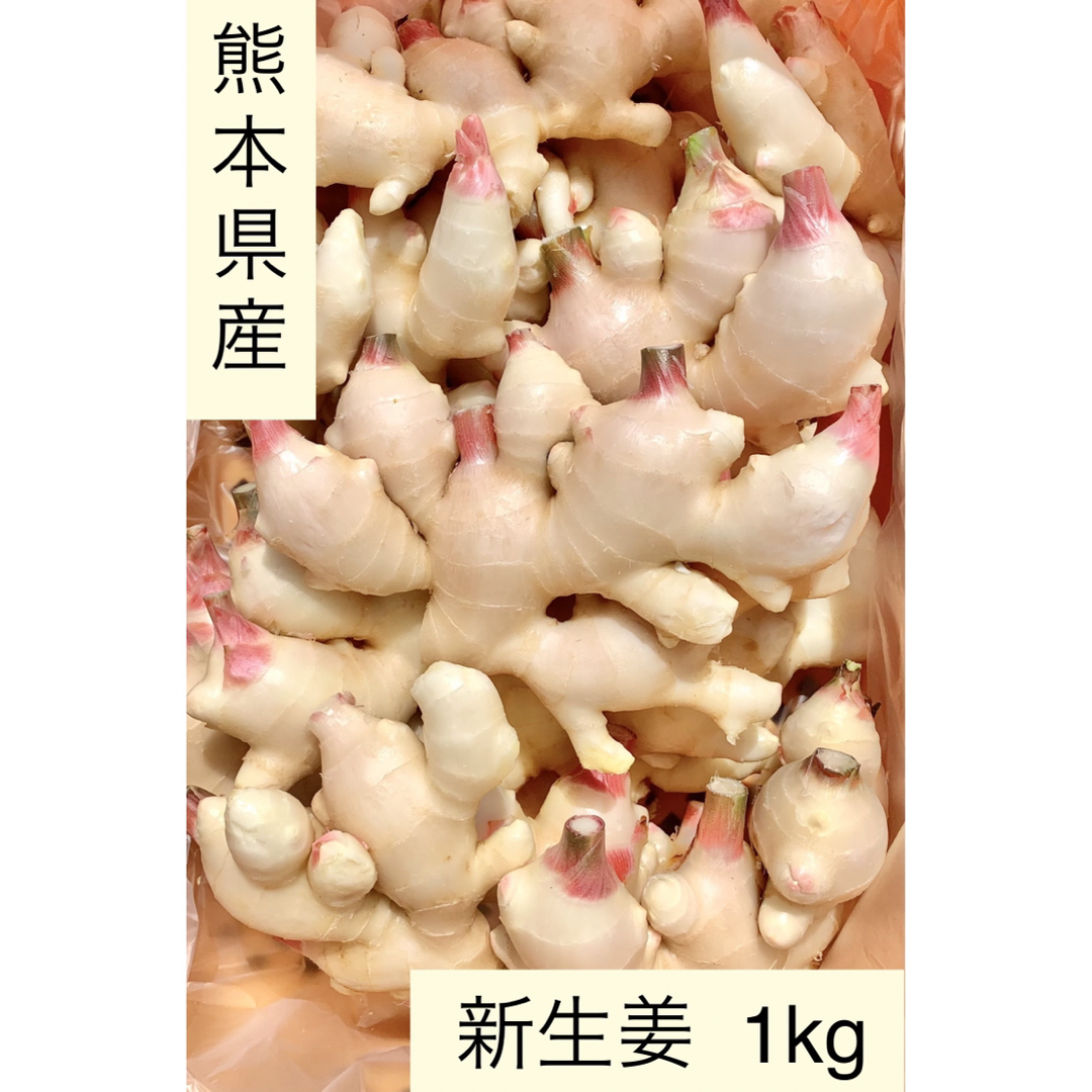 熊本県産　新生姜　1kg 食品/飲料/酒の食品(野菜)の商品写真