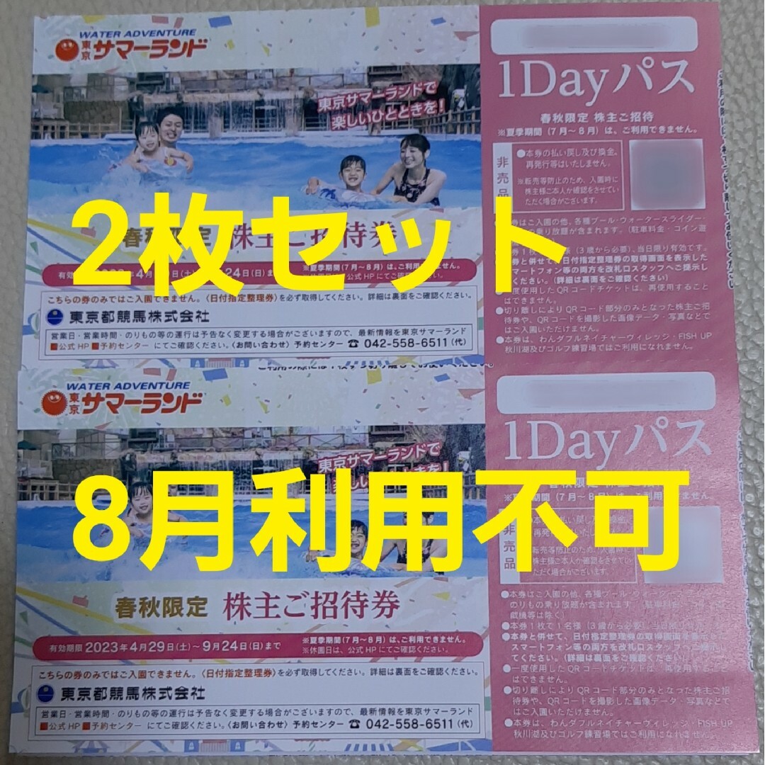 東京サマーランド 株主ご招待券 1dayパス 2枚セット 7・8月利用不可の