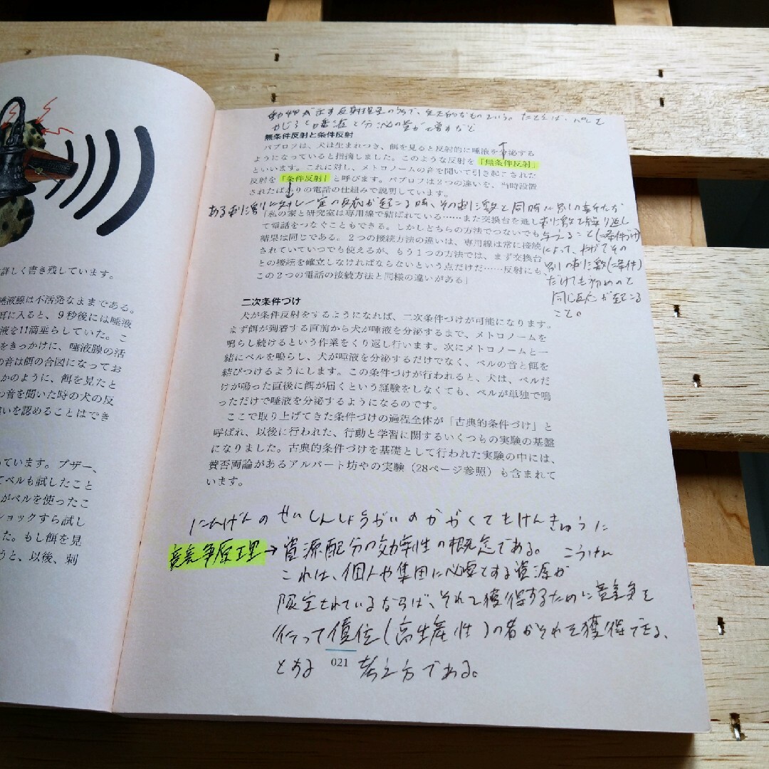 パブロフの犬 実験でたどる心理学の歴史 エンタメ/ホビーの本(人文/社会)の商品写真