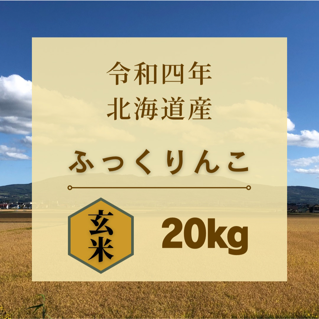 20kg　令和4年産　》北海道産ふっくりんこ　米/穀物