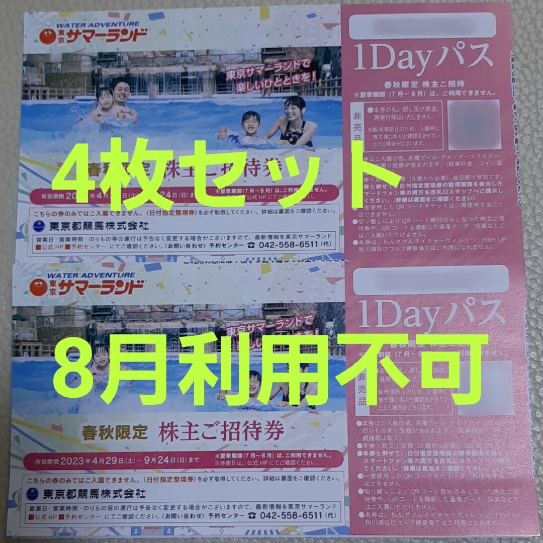 東京サマーランド 株主ご招待券 1dayパス 6枚セット 7・8月利用不可の