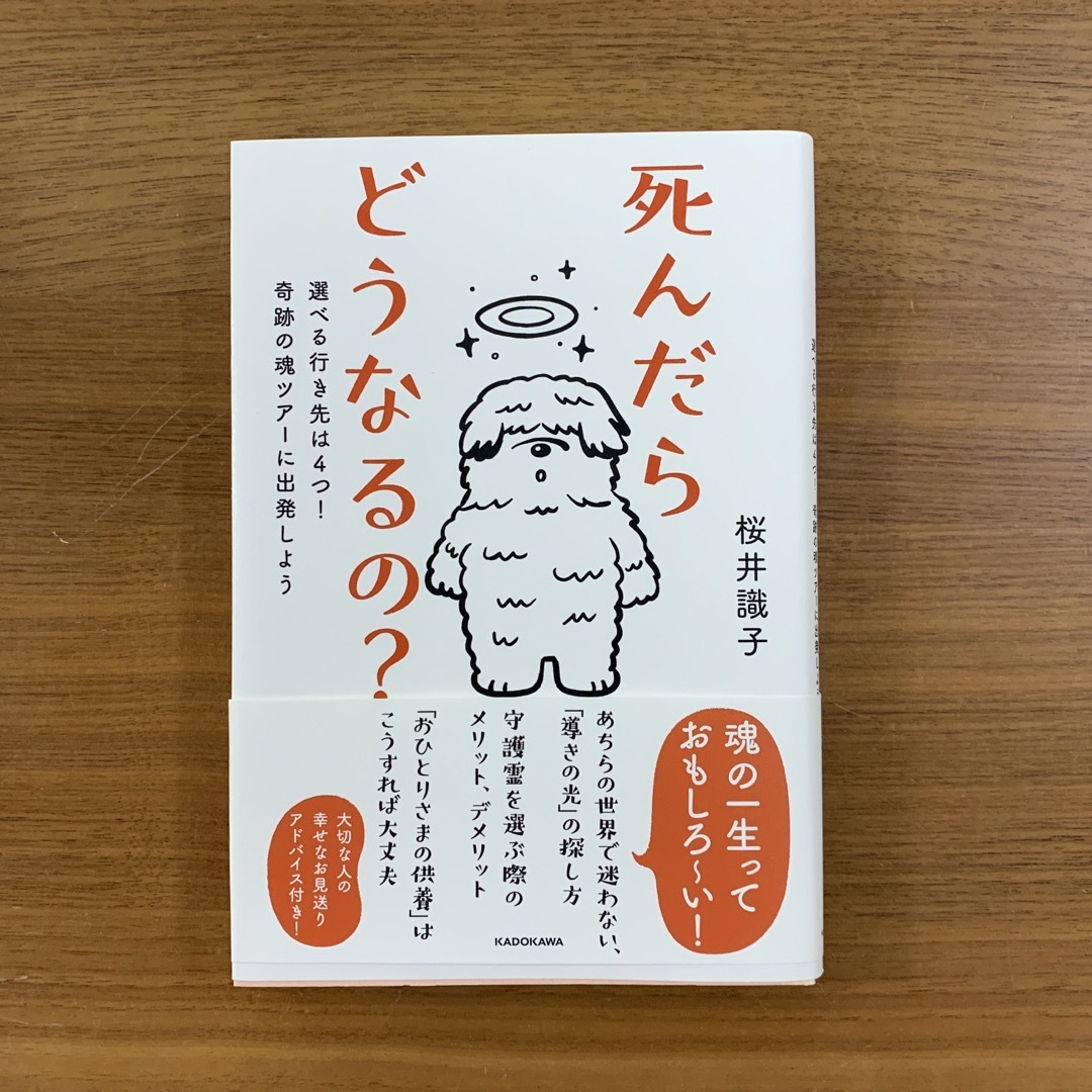 死んだらどうなるの？ 選べる行き先は４つ！奇跡の魂ツアーに出発しよう エンタメ/ホビーの本(住まい/暮らし/子育て)の商品写真