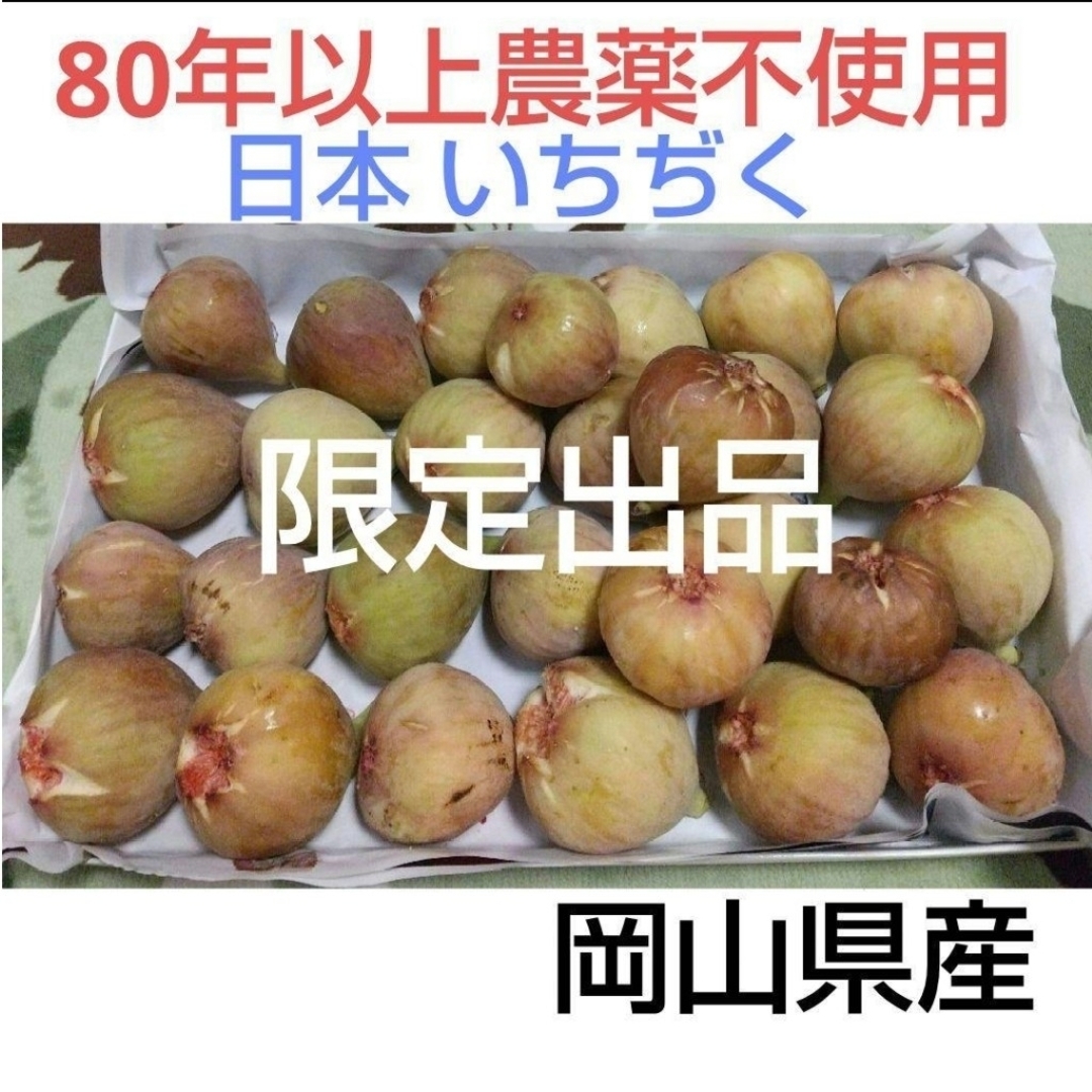 岡山県産 農薬不使用 自家栽培 日本無花果  いちぢく イチヂク 果物 いちじく 食品/飲料/酒の食品(フルーツ)の商品写真