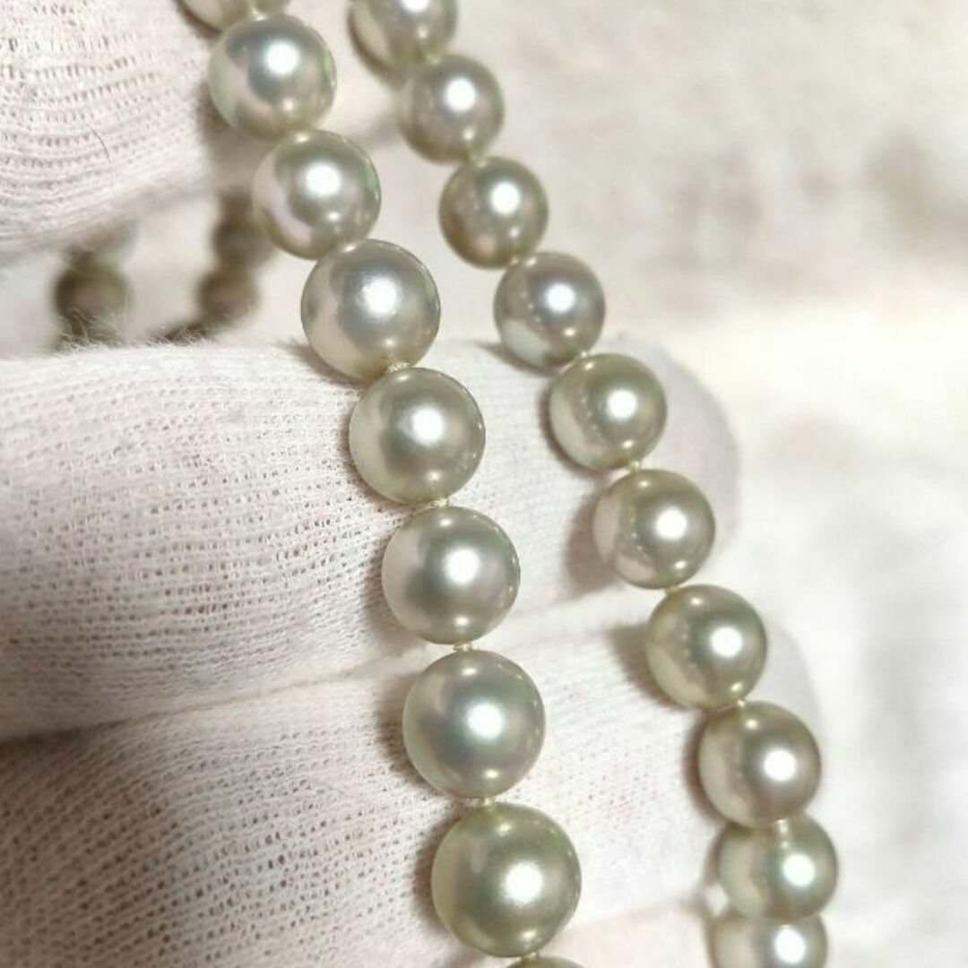 MIKIMOTO - 美品 グレー パールネックレス あこや真珠 silver刻印 今啓