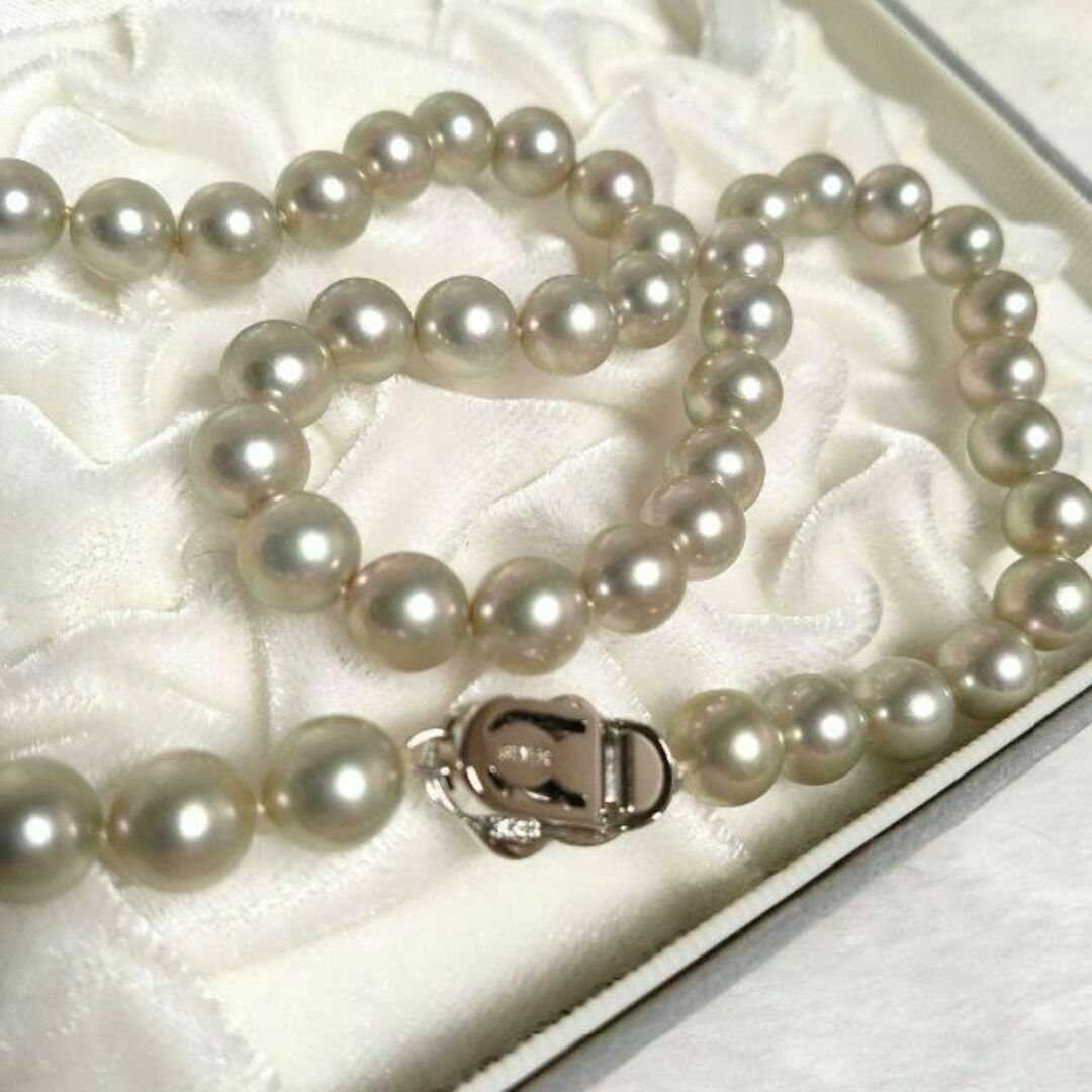 MIKIMOTO - 美品 グレー パールネックレス あこや真珠 silver刻印 今啓