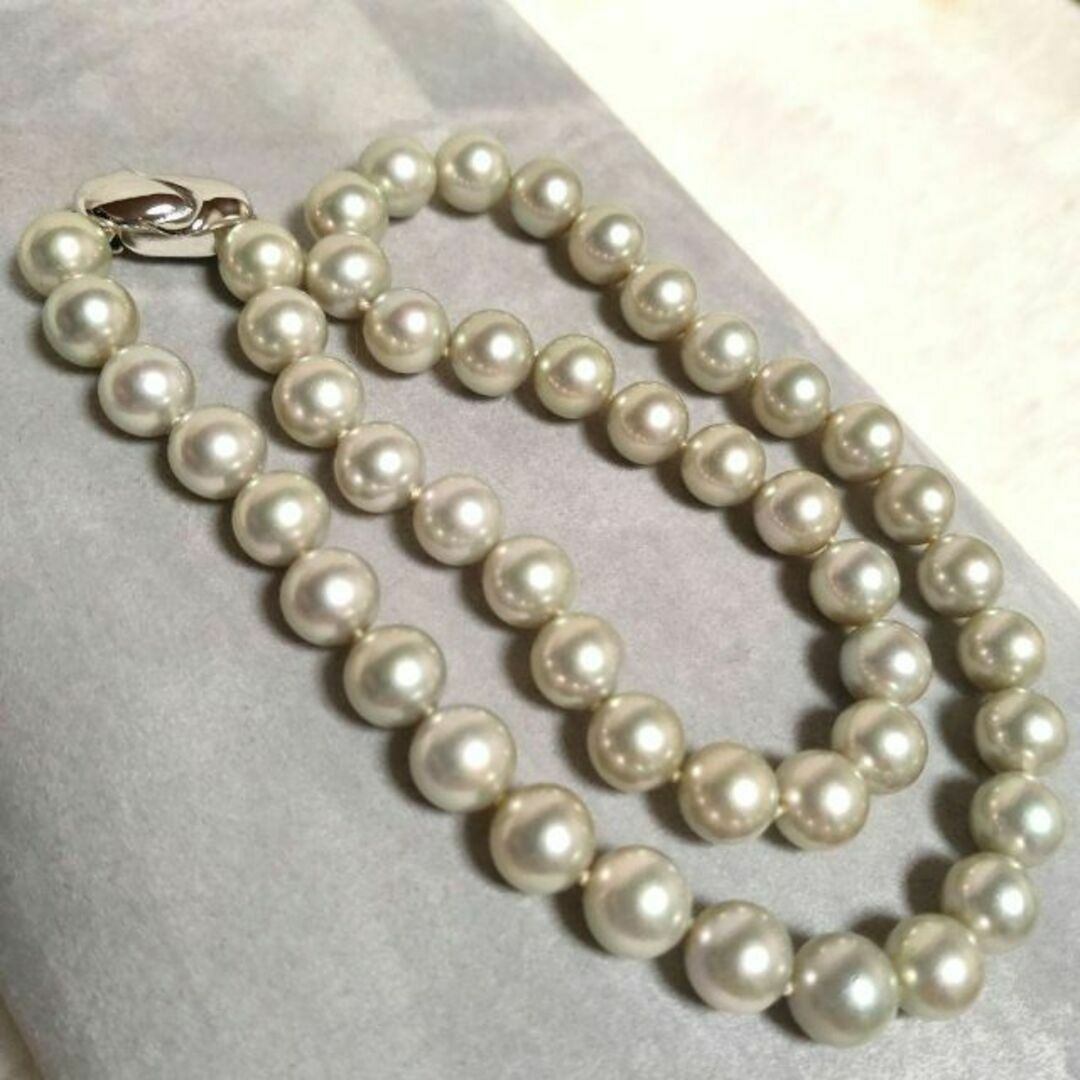 MIKIMOTO - 美品 グレー パールネックレス あこや真珠 silver刻印 今啓
