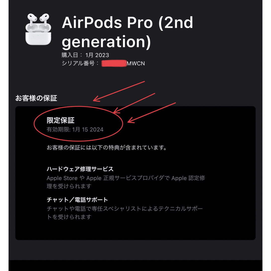 AirPods Pro 第2世代 充電器ケース MQD83J/A A2700_W