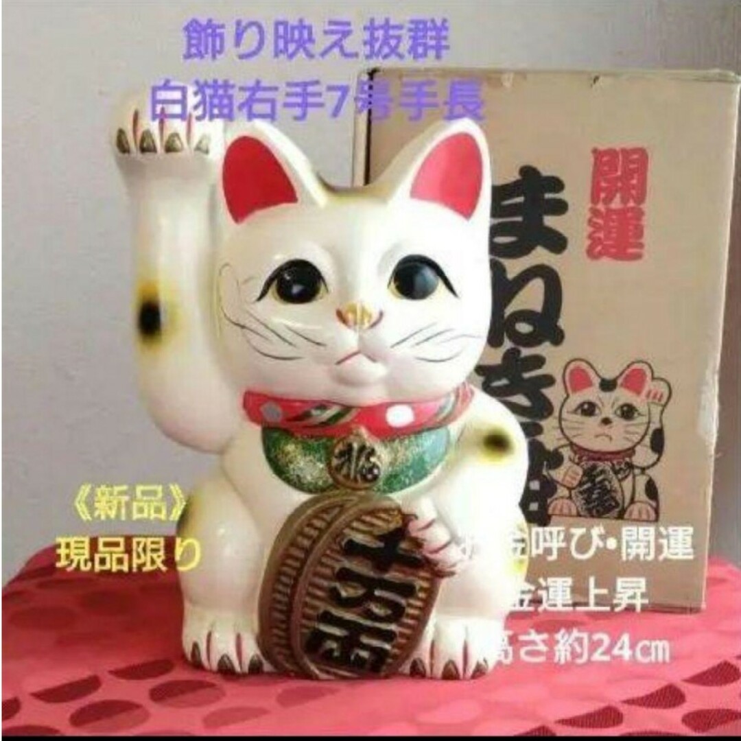 12/17迄値引✨存在感!お金呼び 招き猫☆白猫右手上げ10号手長•大型現品