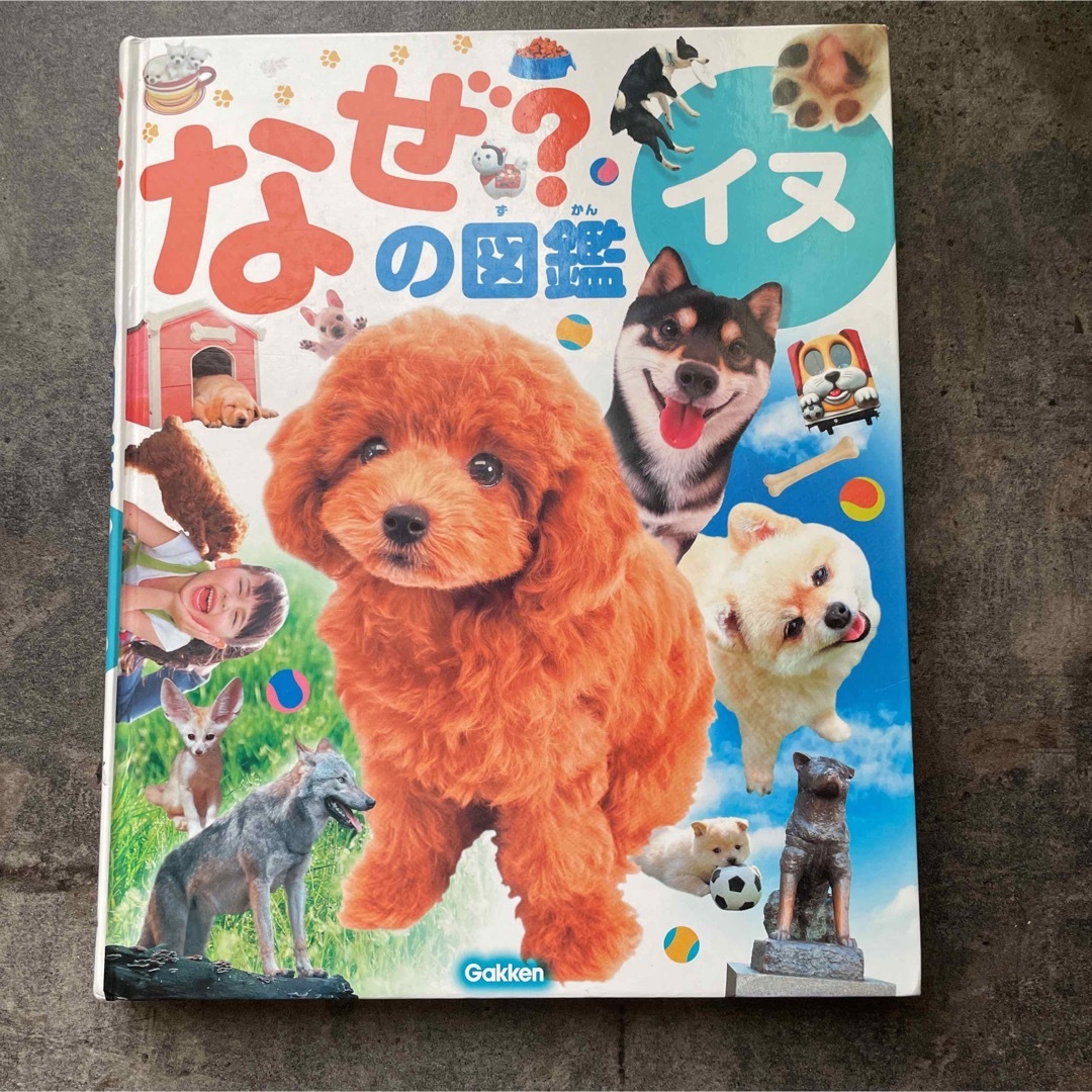 0211ママ様専用 エンタメ/ホビーの本(絵本/児童書)の商品写真