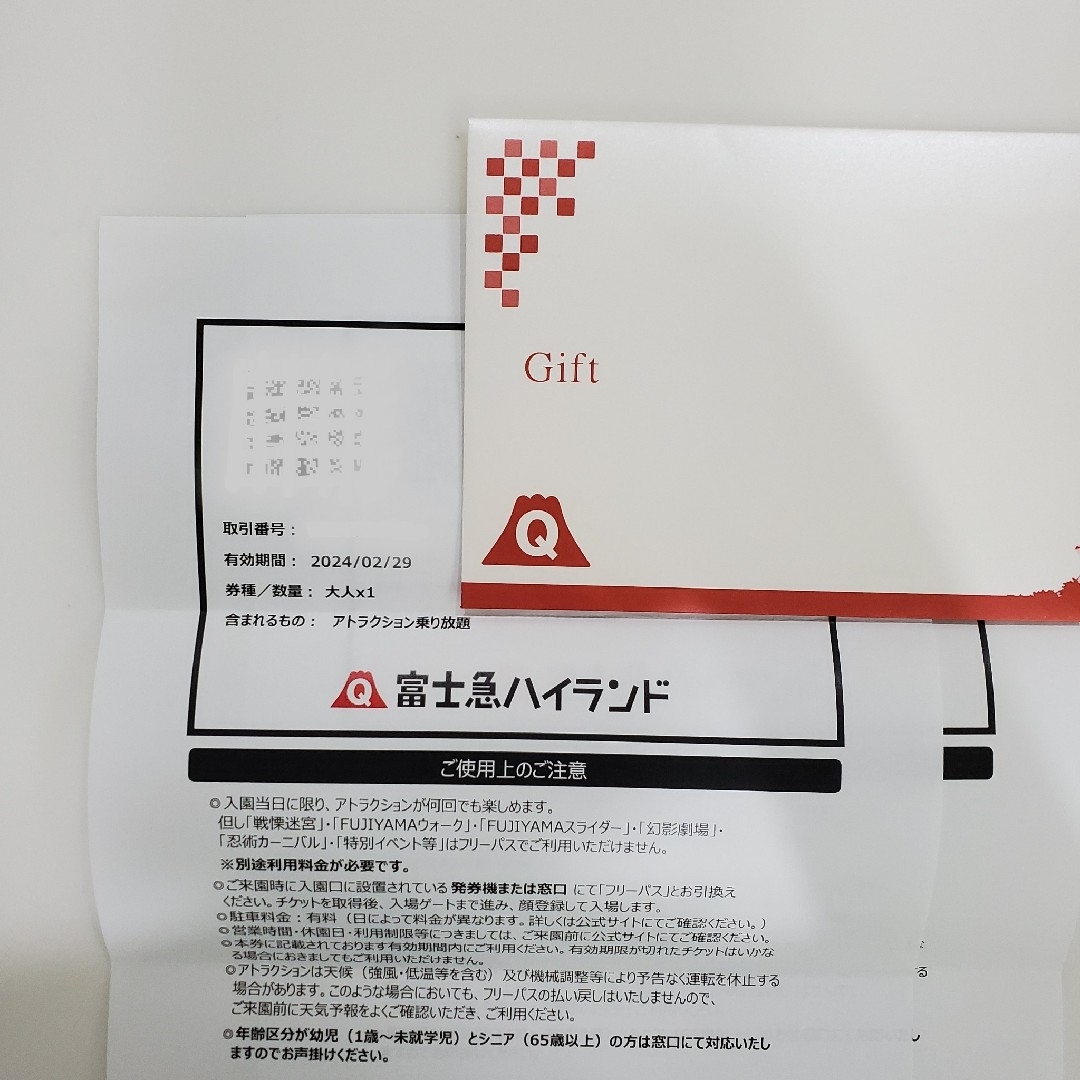 富士急ハイランド アトラクション乗り放題 2枚-