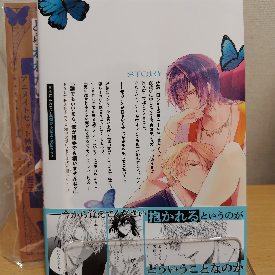 BL 砂上の蝶はとらわれたい 夕波楓 アニメイトセット 特典小冊子、ペーパー付き