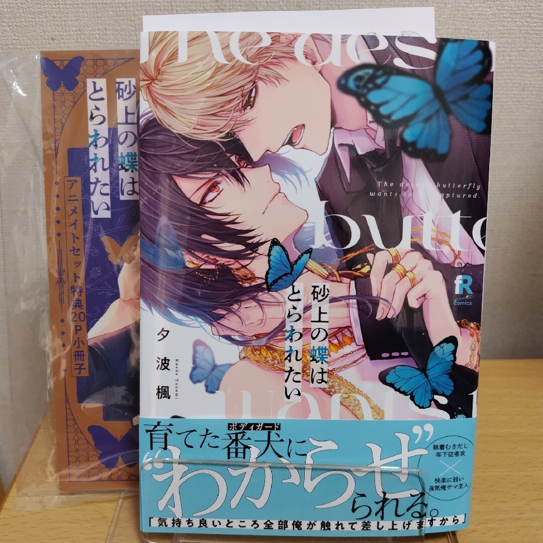BL 砂上の蝶はとらわれたい 夕波楓 アニメイトセット 特典小冊子、ペーパー付き | フリマアプリ ラクマ