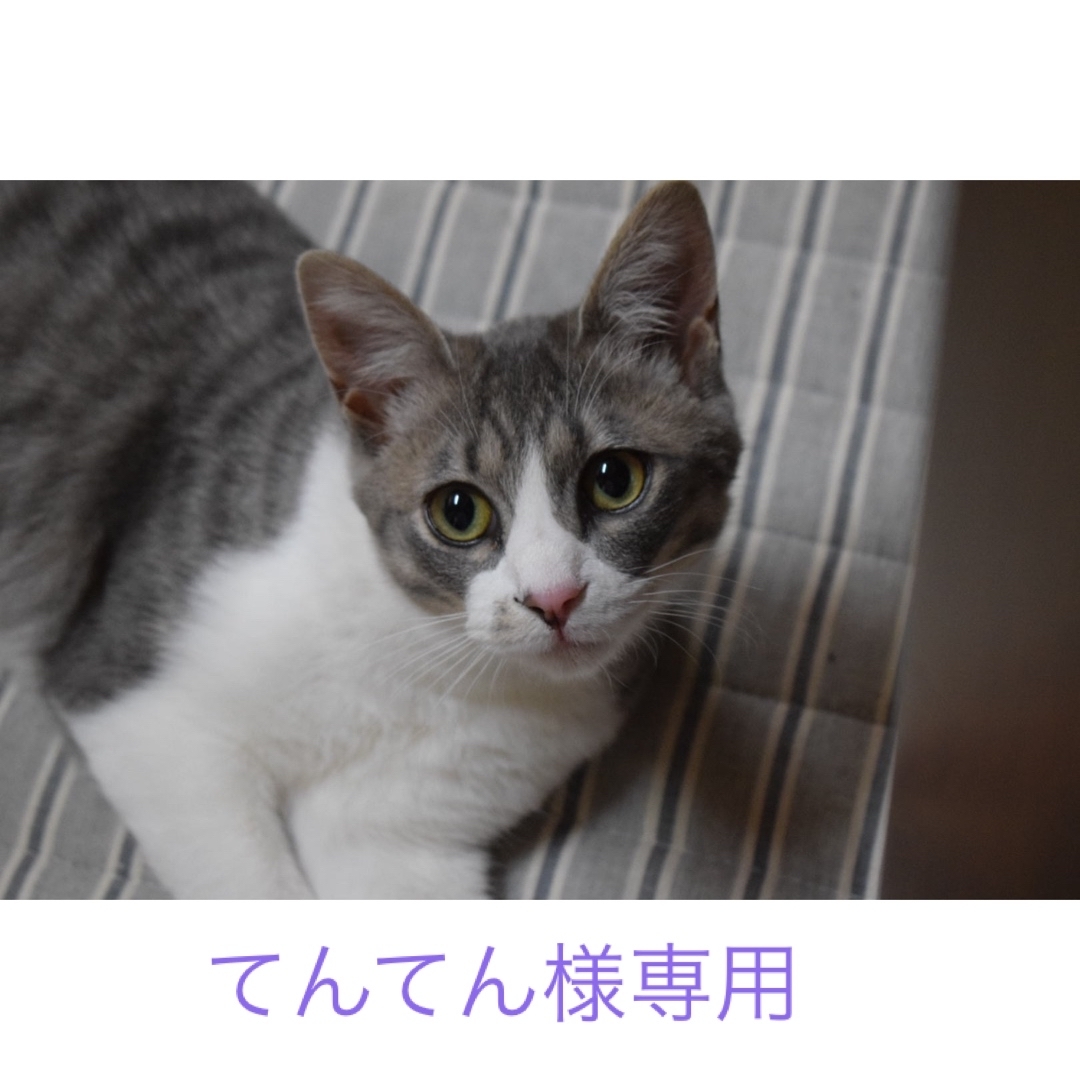 てんてん様専用の通販 by BIG☆MOM ねこや |ラクマ