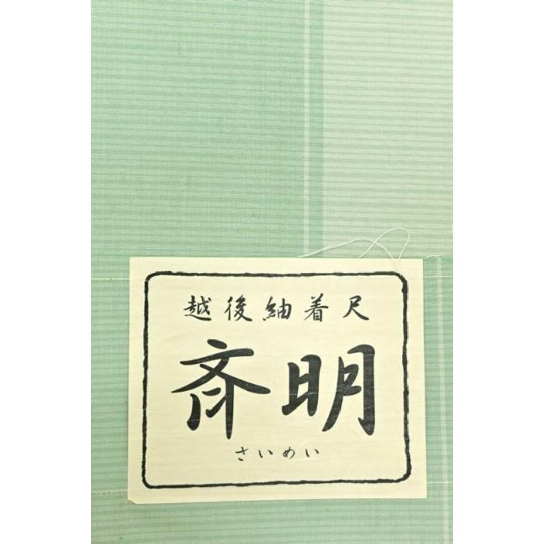 着物だいやす SALE608■紬■蕪重織物　越後紬　縞　肩身丈：164.7cm 裄：68cm 身長サイズ：L　ガード加工【正絹】【仕立て上がり着物】