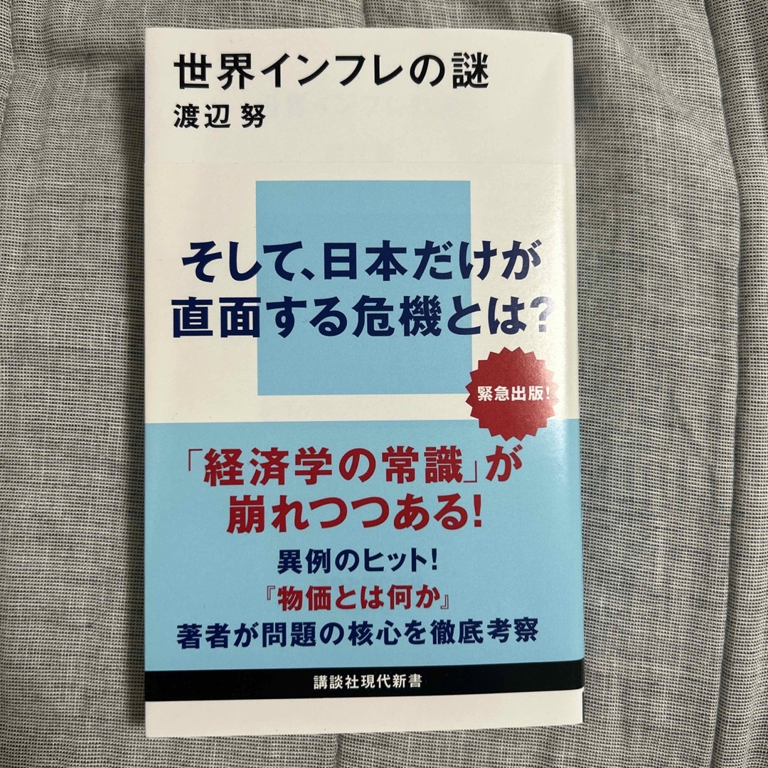 講談社(コウダンシャ)の世界インフレの謎 エンタメ/ホビーの本(その他)の商品写真