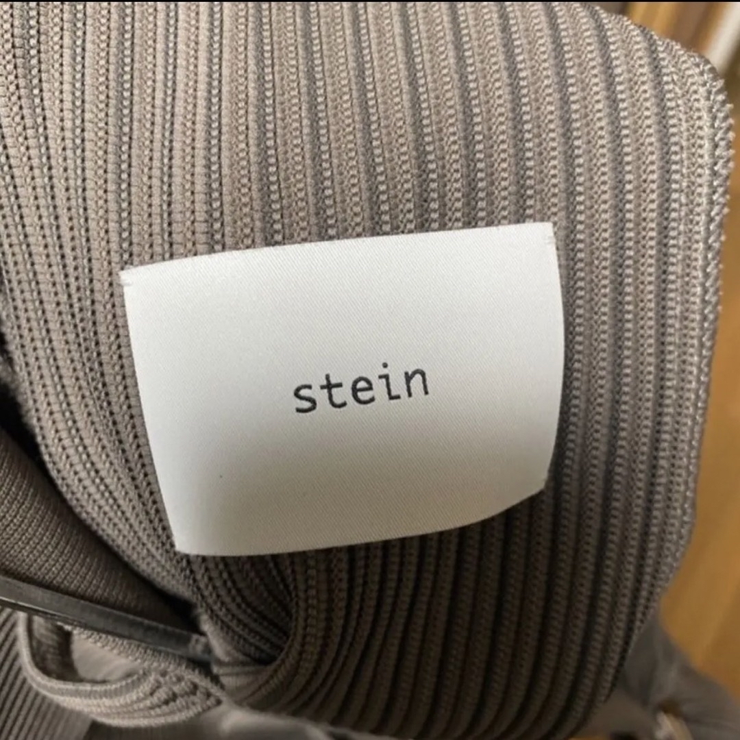 stein(シュタイン)のstein GRADATION PLEATS TWO TUCK TROUSERS メンズのパンツ(スラックス)の商品写真