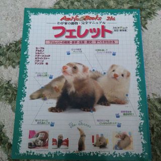 フェレット : フェレットの飼育・医学・生態・歴史・・・すべてがわかる(趣味/スポーツ/実用)