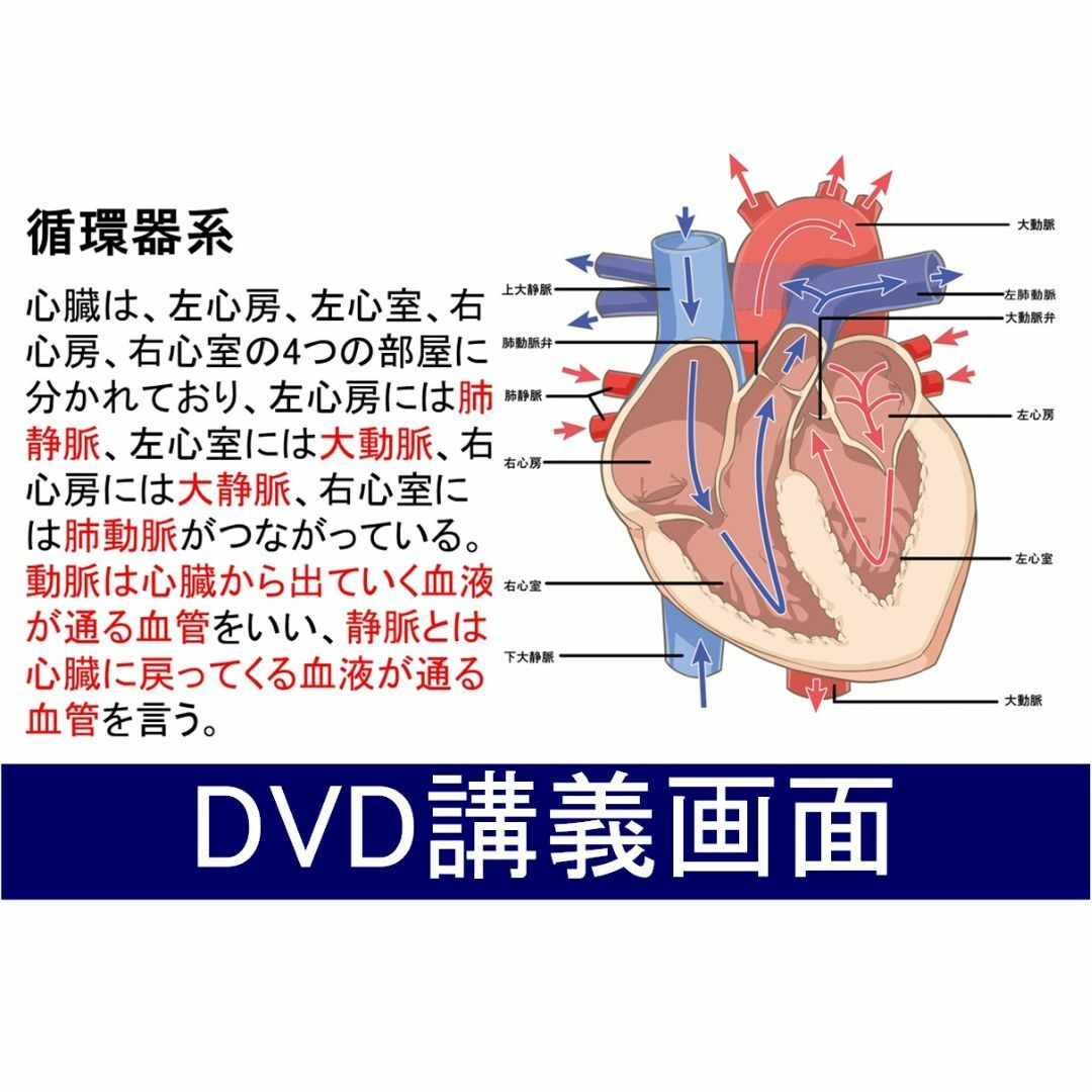 ●第一種衛生管理者　(スマホ学習データ付き）