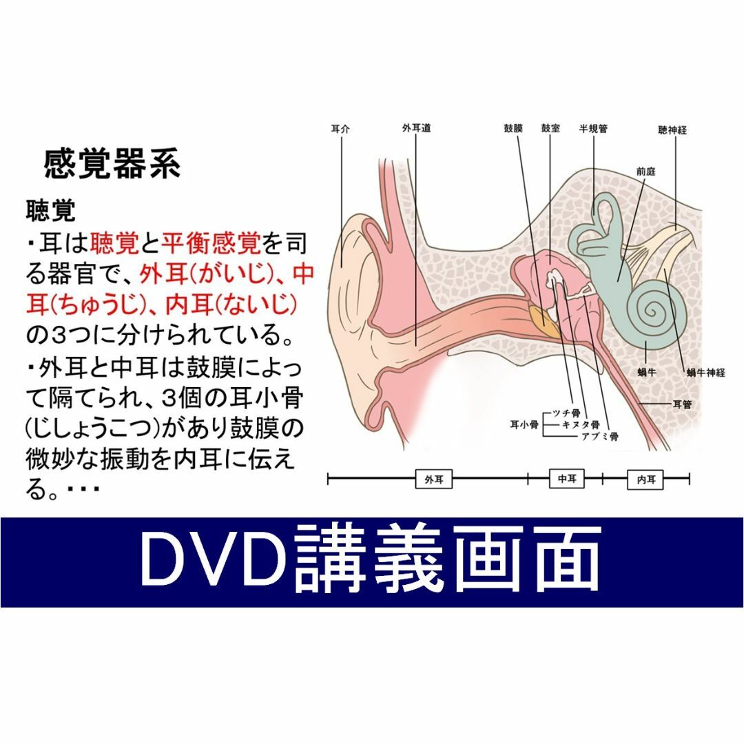 第一種衛生管理者(スマホ学習データ付き）