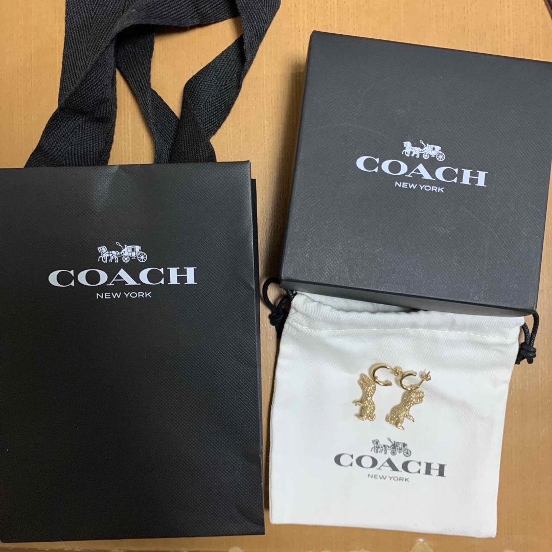 レキシーcoachピアス