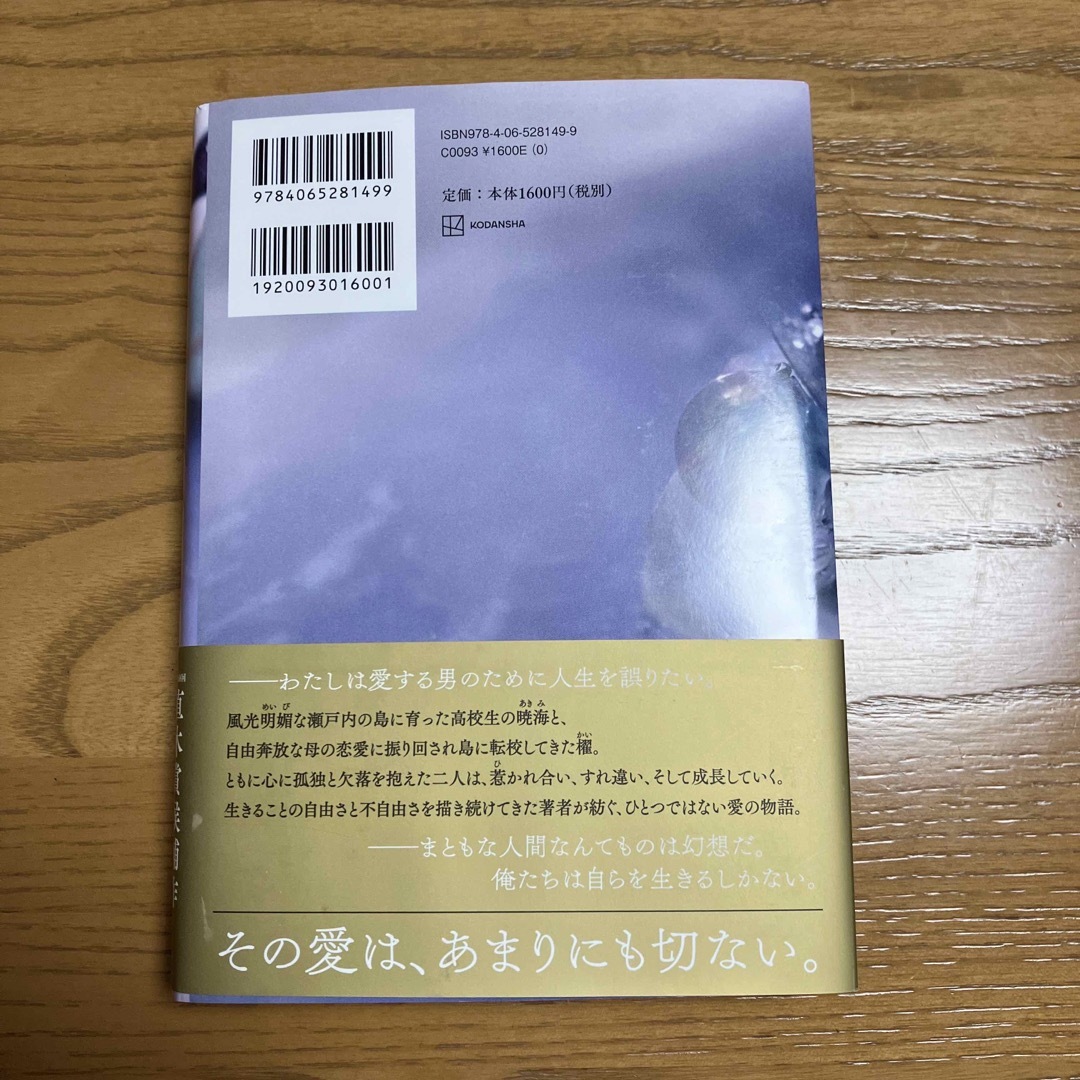 汝、星のごとく エンタメ/ホビーの本(文学/小説)の商品写真