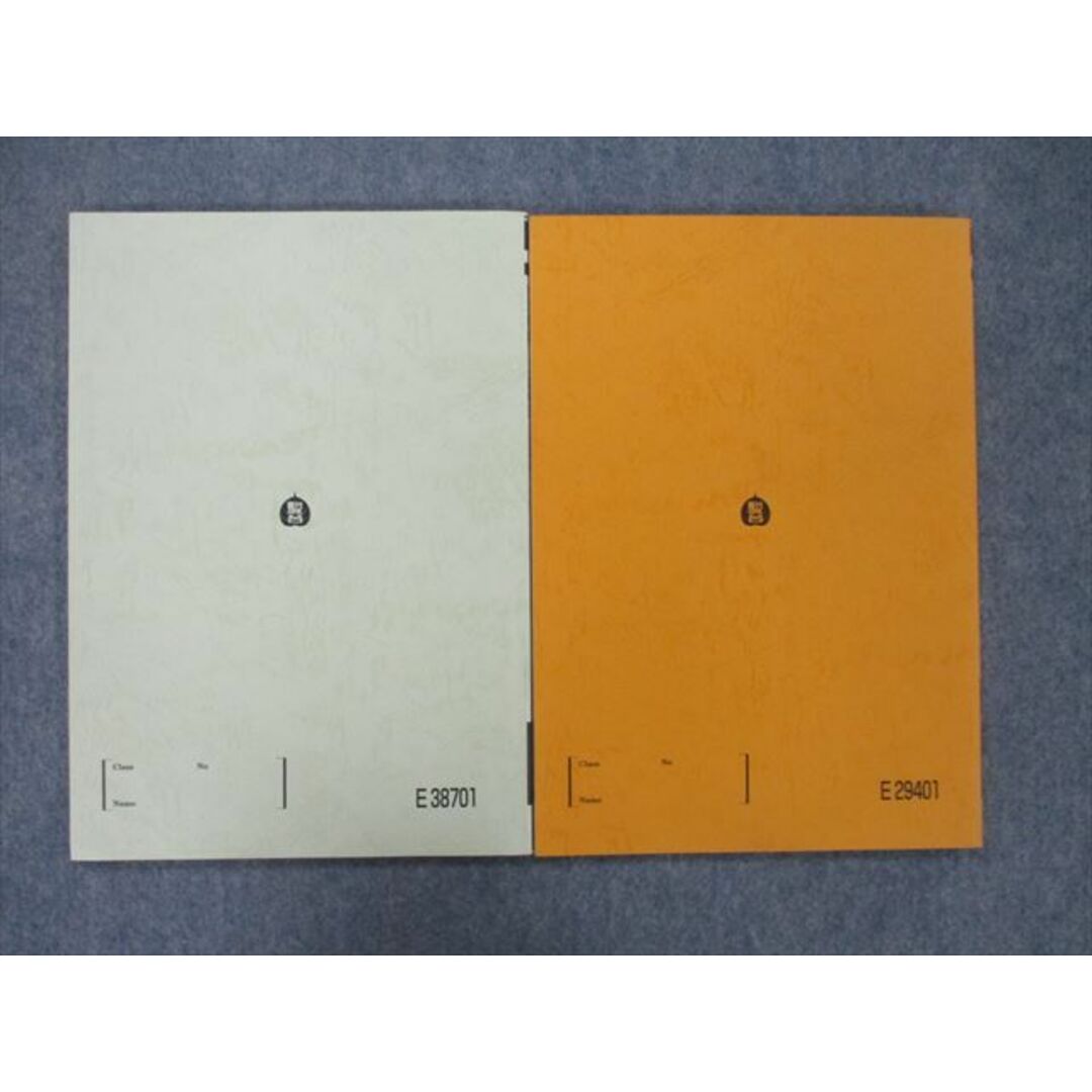 駿台　テキスト　物理特講　入試物理総点検