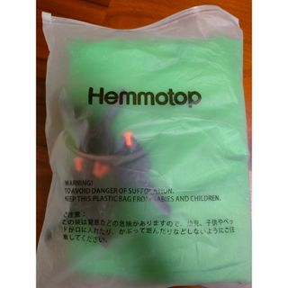 ERI様専用　HEMMOTOP　グリーンバック　180×240cm(その他)