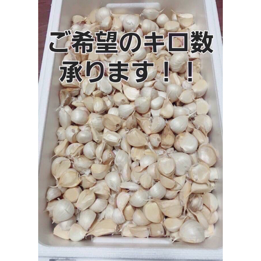 限定値下げ品！【青森県産】にんにく　ホワイト六片　バラ　500g 食品/飲料/酒の食品(野菜)の商品写真