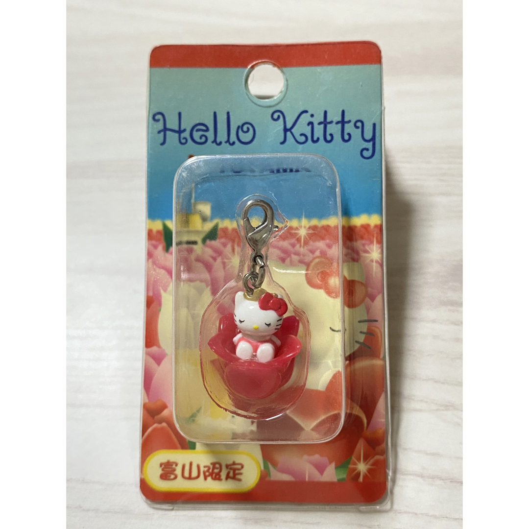 サンリオ(サンリオ)の富山限定　キティ エンタメ/ホビーのおもちゃ/ぬいぐるみ(キャラクターグッズ)の商品写真